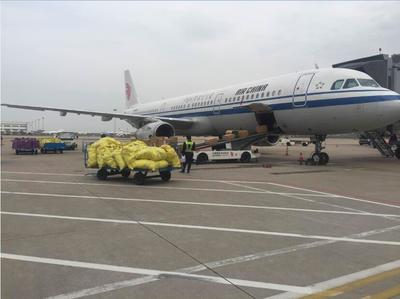 萧山航空货运与飞机托运 高效航空运输指南