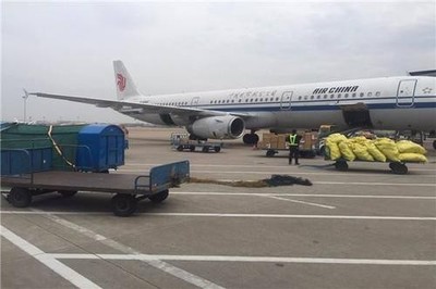合肥机场货物空运 航空货运站的智慧转型与发展前瞻